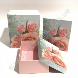 Коробка подарочная№6753
